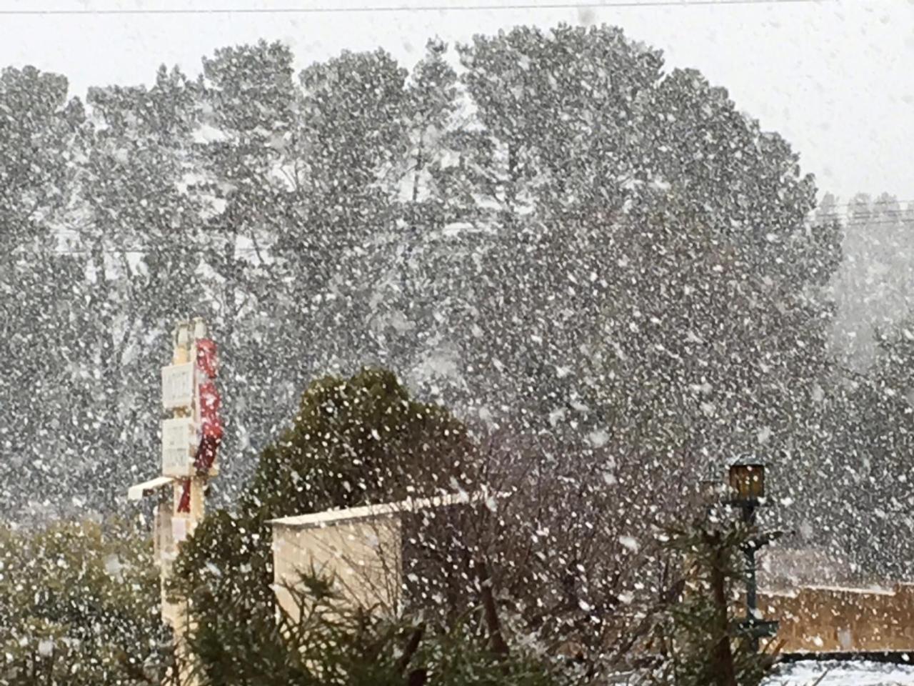 Alpine Country Motel Plus Free Coffee Cooma Bagian luar foto